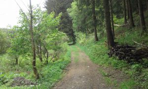 Wanderwege im Harz